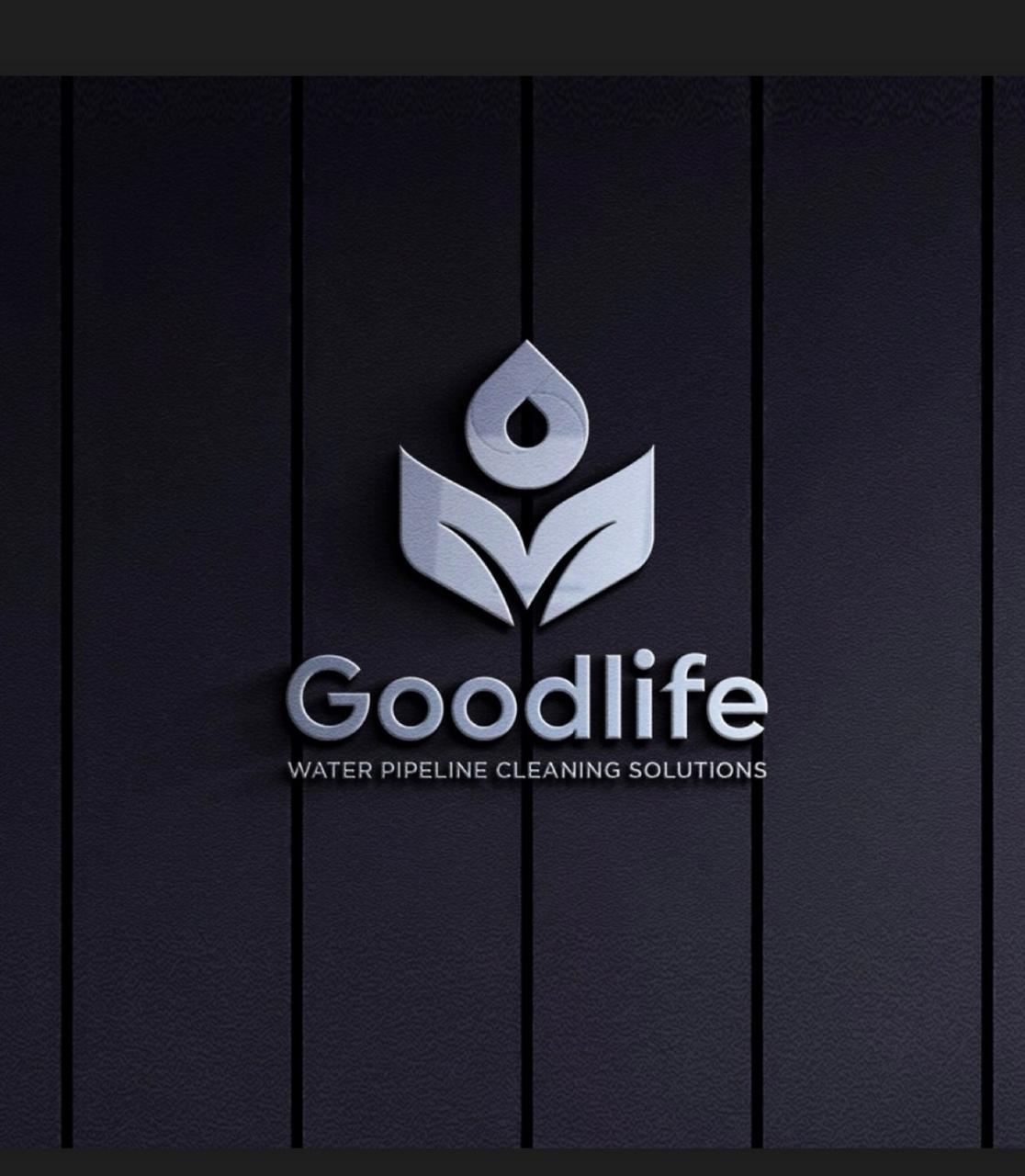 goodlifecleaning.in